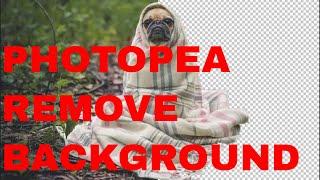 Photopea how to remove background | Cut out image online free