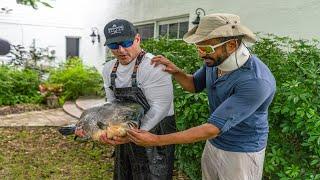 Sight fishing sailfish and mahi in 30 feet of water and catching Pacu