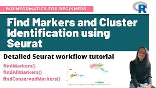 Find markers and cluster identification in single-cell RNA-Seq using Seurat | Workflow tutorial