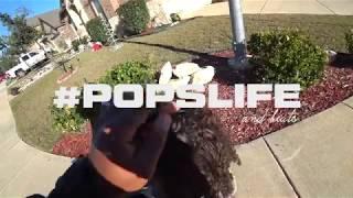 PopsLife Ep.  1 - "Cruising" [Korg Gadget beat via iPad Pro x Sony FDR-X300]