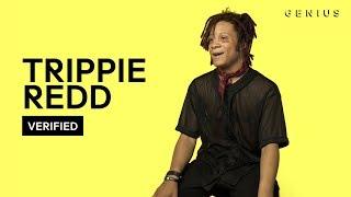 Trippie Redd "Love Scars" Official Lyrics & Meaning | Verified