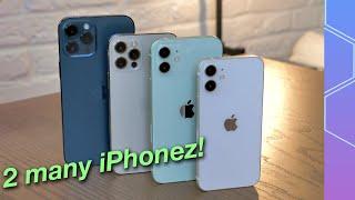 iPhone 12 vs 12 mini vs 12 Pro vs 12 Pro Max | My thoughts