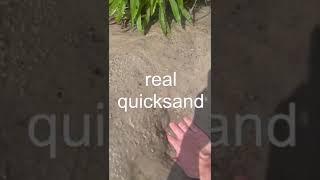 Real Quicksand