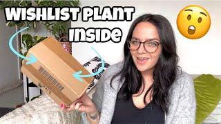  eBay houseplant UNBOXING 🪴 shopping for UNUSUAL houseplants! 