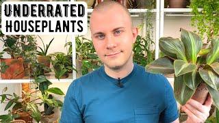 Underrated Houseplants | 2022