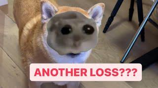 Shiba Attacks Dealer at Casino Over Bad Loss