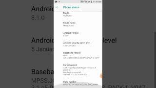 Xiaomi Redmi Go How to Enable Developer Options