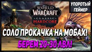 МОЙ способ прокачки 20-30 лвл на ХАРДКОРЕ! WoW Classic Hardcore