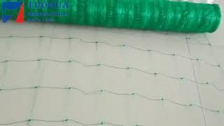 Agriculture Plant Support Nets