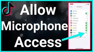 How To Allow TikTok Access To Microphone