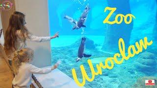 Зоопарк Вроцлав Польша / Zoo Wroclaw Poland / Дети в Польше / Oceanarium Afrykarium