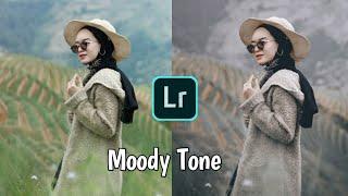 FREE Preset Lightroom Tanpa Password | moody Tone