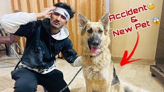 Accident Hogaya Aur New German Shepard Buy Karlia 