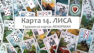 Карта 14 Лиса  значение и сочетания с другими картами. Ленорман обучение