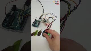 detecting leaf color | science project