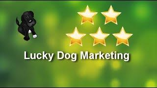 Lucky Dog Marketing Arlington Excellent 5 Star Review by Cindy Fox