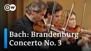 Bach: Brandenburg Concerto No. 3 | Claudio Abbado & the Orchestra Mozart
