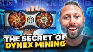 Everything you didn't know about Dynex Mining!