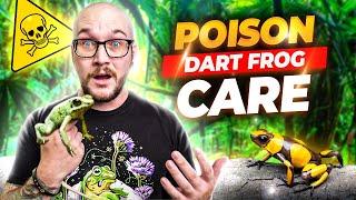 Everything You Need To Know About Keeping Poison Dart Frogs! Dart Frog Care Guide 2023!