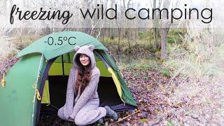 Freezing Winter Wild Camping  0°C in the Woods!