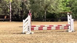 Nemo at schooling show