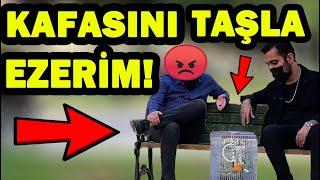 KUŞUMU ÖLDÜRÜR MÜSÜN? (250 TL YE ÖLDÜRDÜ) SOSYAL DENEY