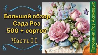 Большой обзор сортов роз с краткими характеристиками , часть 2 . Сайт в описании .