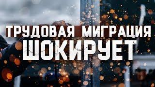 Трудовая миграция шокирует. Польша