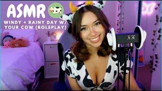 ASMR Roleplay ~ Windy + Rainy Day w/ your Cow (Blowing, Tapping, Whispering)