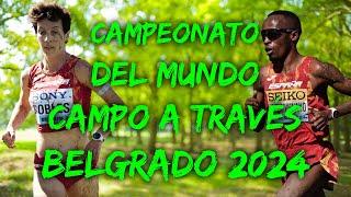 Campeonato del Mundo de Cross | Belgrado 2024