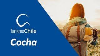 Cocha | Turismo Chile