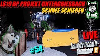 LS19 | RP Projekt #54 | Schneeschieben für die Stadt Untergriesbach & Neue Maschinen Bestellen