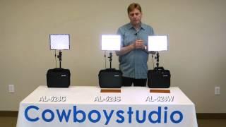 Aputure Amaran LED Video Light AL-528W, AL-528S, AL-528C