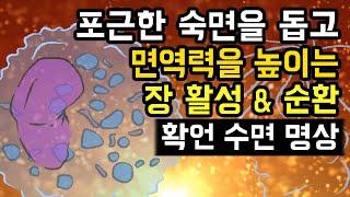  깊은 잠에 들며 면역력을 높이는 장 마사지 & 순환 명상 숙면가이드, 체내 혈액순환과 면역계 안정화에 도움 줄 수 있음 [BSM Level 3 - 순환 및 긍정 강화]