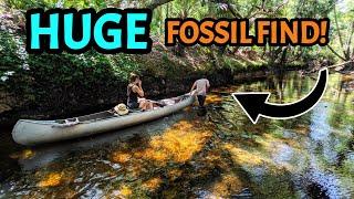 We Discovered Something Truly INCREDIBLE  Deep in the Florida Swamp! Fossil Shark Teeth & MORE!