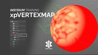 INSYDIUM Training - xpVertexMap