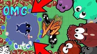 Mope.io BABY BLUE WHALE TAKEOVER!! | Zebra and PufferFish OP Trolling (Mope.io Funny Moments)