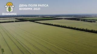 День Поля - сорта и технологии возделывания озимого рапса ВНИИМК 2021