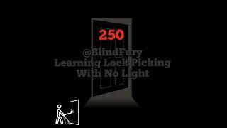 250 @BlindFury Learning Lock Picking With No Light