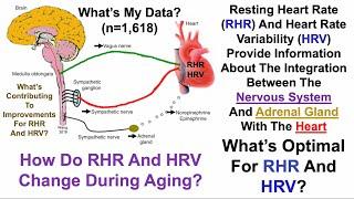 Resting Heart Rate, Heart Rate Variability: What's Optimal, 1600+ Days of Data