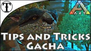 Fast Gacha Taming Guide :: Ark : Survival Evolved Tips and Tricks