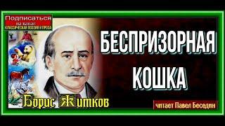 Беспризорная кошка— Борис Житков —  читает Павел Беседин