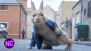 Peter's Friends Get Captured | Peter Rabbit 2: The Runaway | Now Comedy