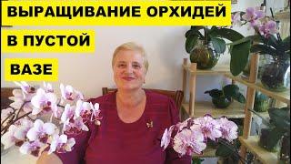 ВЫРАЩИВАНИЕ,  ПОЛИВ и УДОБРЕНИЕ  ОРХИДЕЙ в ПУСТОЙ ВАЗЕ...ПРОЩЕ НЕ МОЖЕТ БЫТЬ