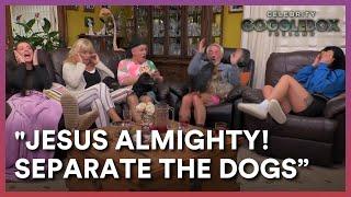 The Flemings' Dogs Get Into Fight Over Kerry's Massage Chair  | Celebrity Gogglebox Ireland
