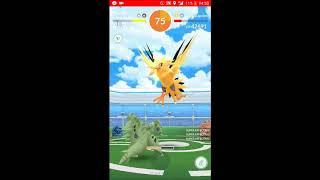 4 Man Zapdos(with 2 rookie players) no weather boost