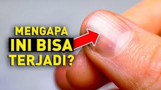 Mengungkap Rahasia Tubuh Manusia yang Takut Kamu Ketahui