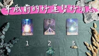 年底前的好運勢好消息是?心靈建議和指引《年月日運勢塔羅占卜》Pick a card｜Angel808天使療癒花園｜獨門真源塔羅｜Mike Wu吳真源老師