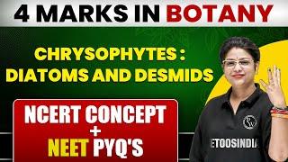 CHRYSOPHYTES Class 11 | Most Important Topic for NEET | 4 Marks पक्के | ETOOS INDIA