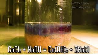 CoCl2 + 2NaOH → Co(OH)2 + 2NaCl | Cobalt(II) chloride react with sodium hydroxide